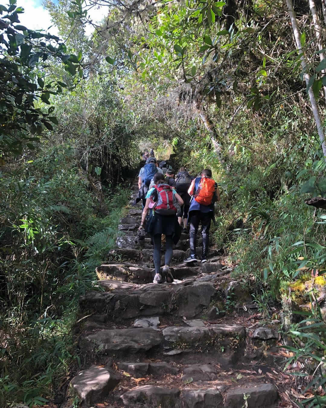 boleto montaña machupicchu