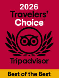 tripadvisor winner