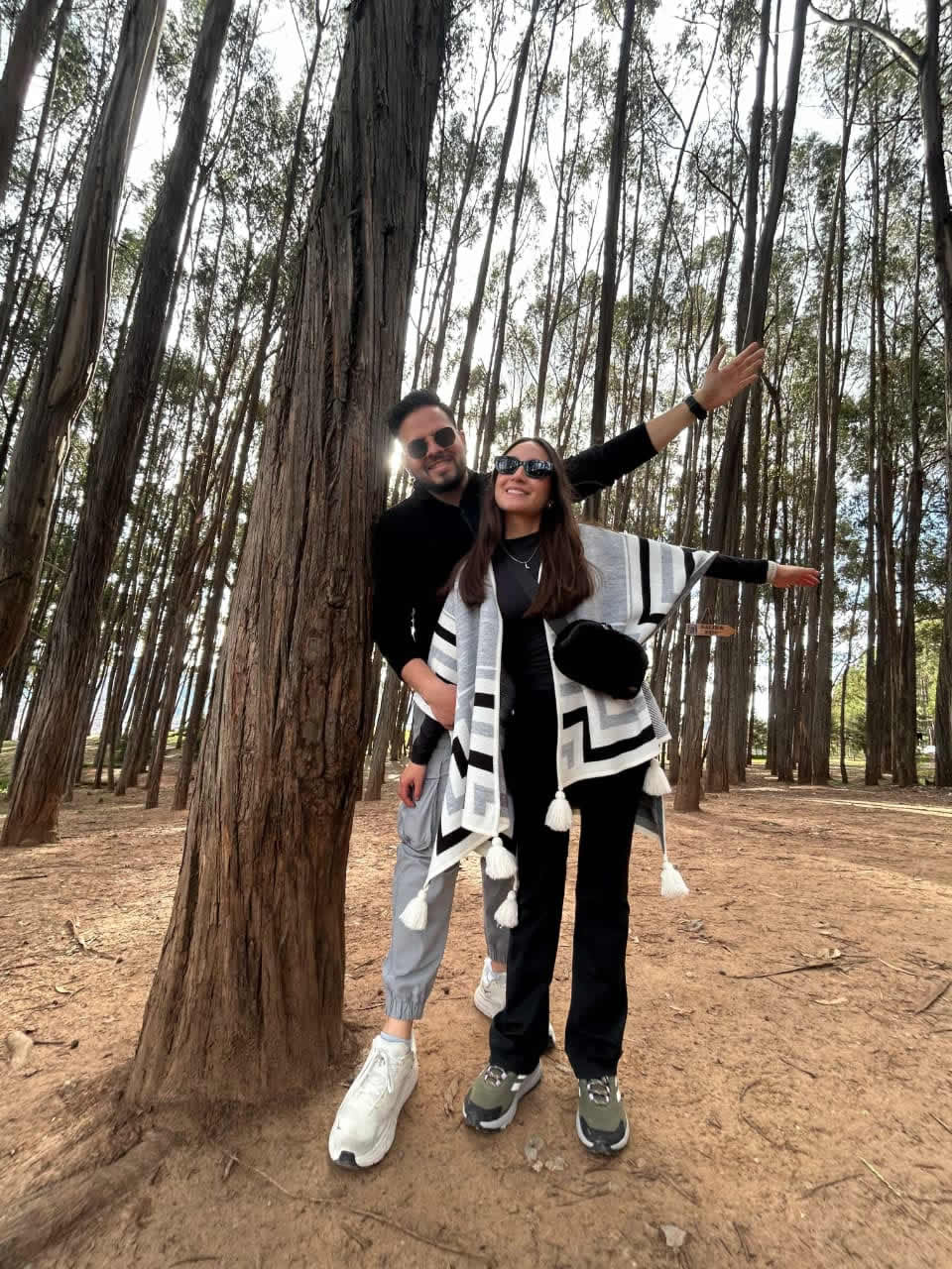 Qenqo Eucalyptus Forest